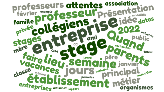 nuage-de-mots- stage.png
